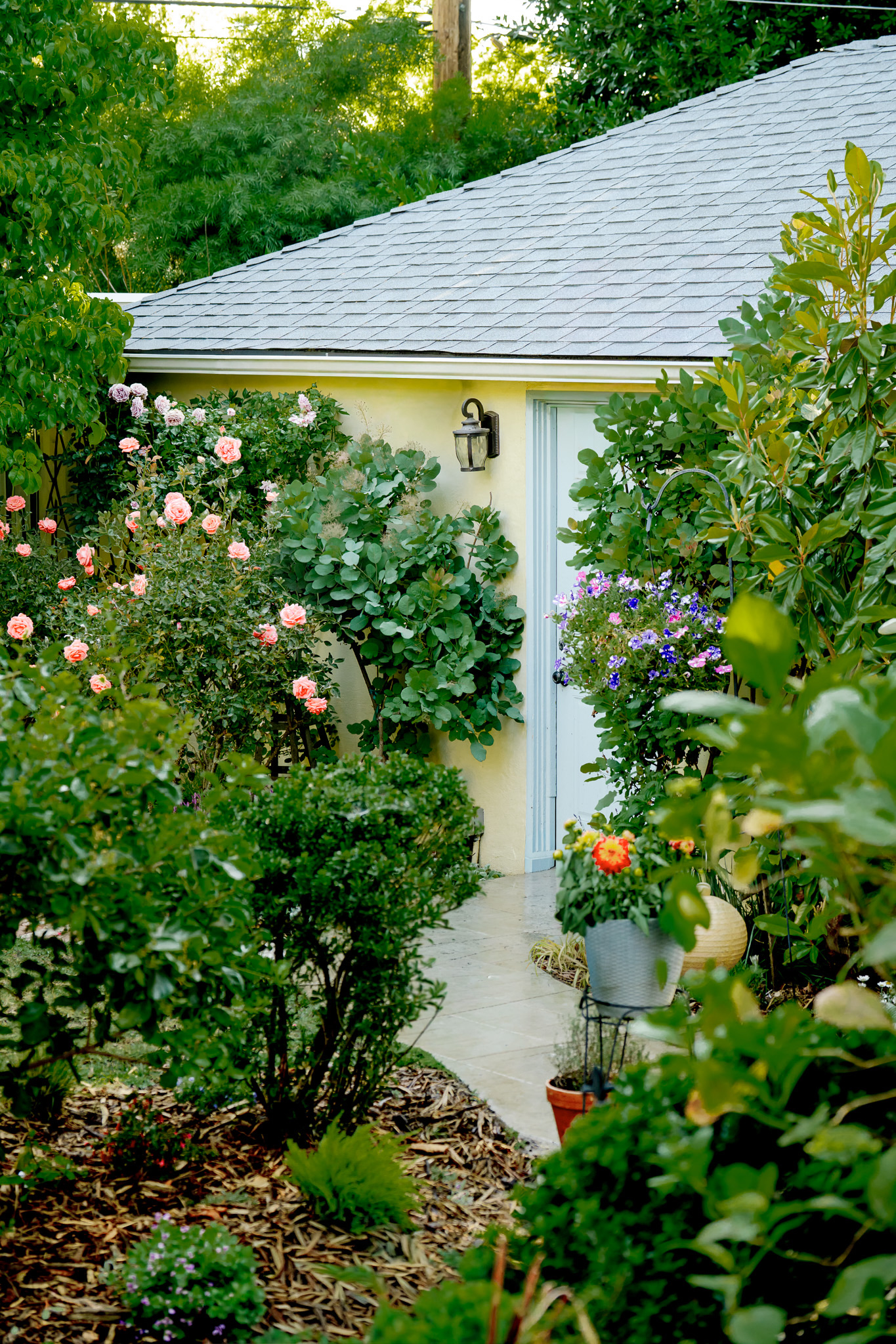 Foothill meadow residence, photograph 6
