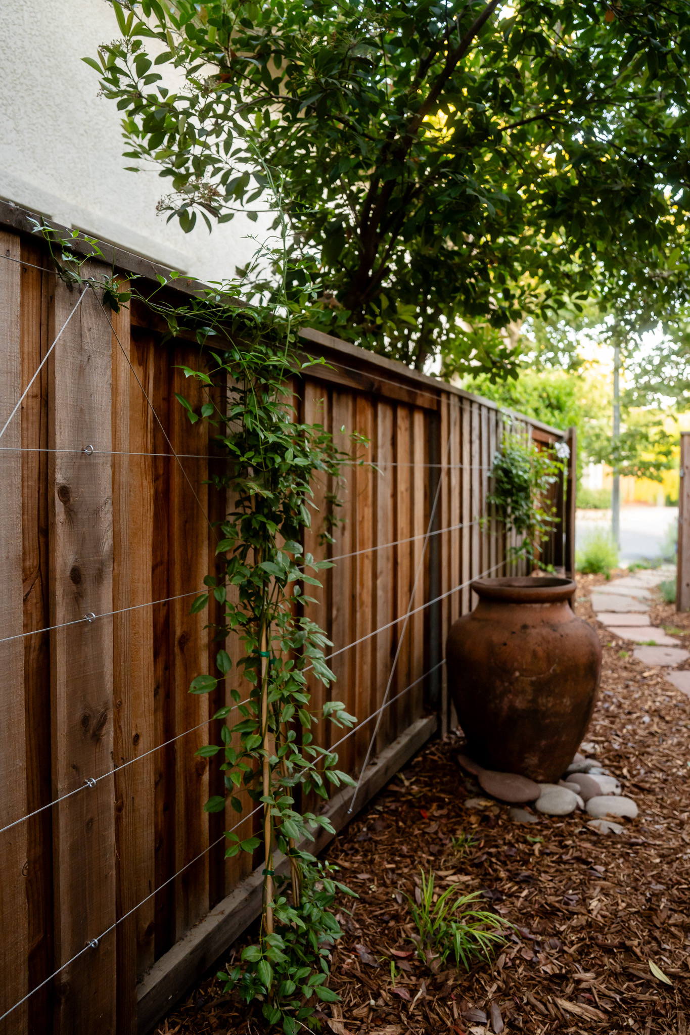 Project details, photograph 15