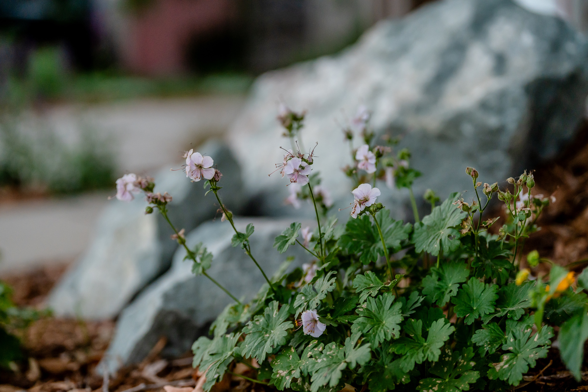 Project details, photograph 12