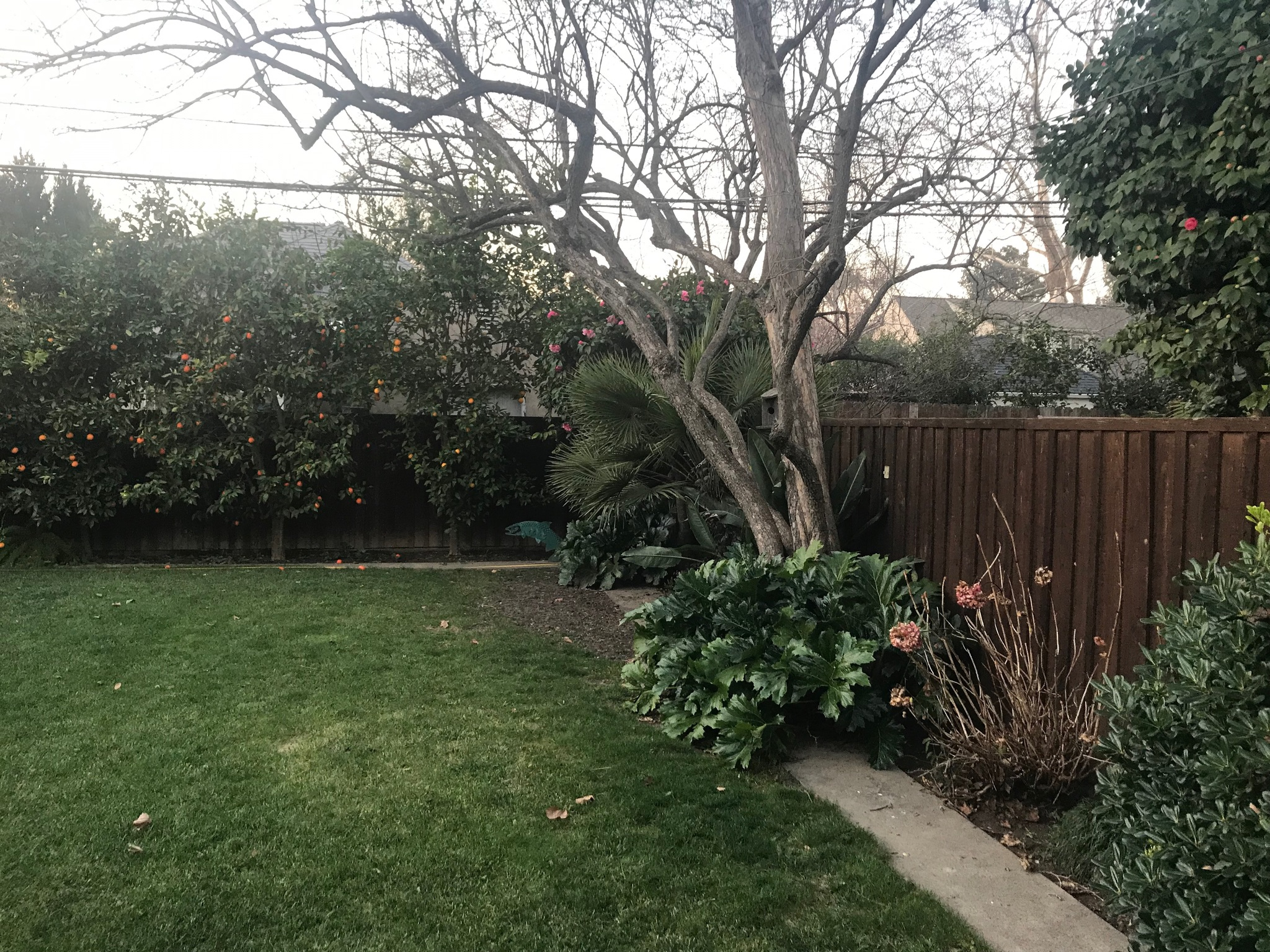 Kim residence, photograph 17