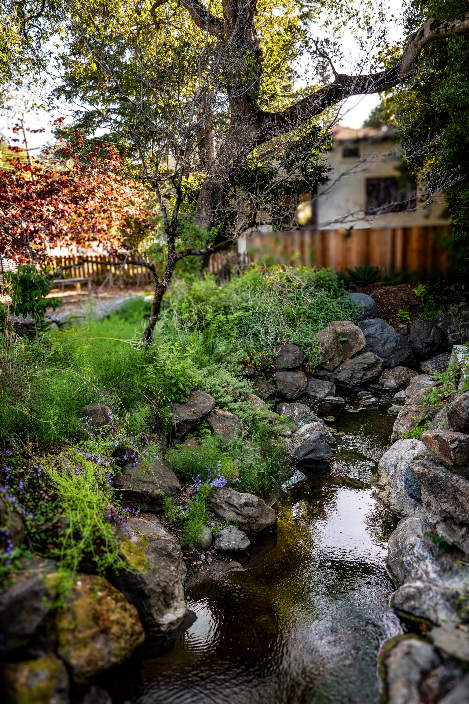 Montclair residence, photograph 6